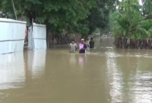 Assam Floods: Central Team Urges Geo-Tagged Photos and Comprehensive Data for Effective Assistance