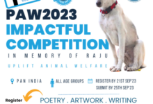 PAW2023: Launch of 5th PAN INDIA Competition by AWBP Trust In Memory Of Raju