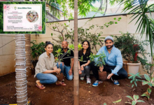 Rakul and Jackky’s Green Wedding: Planting Trees with Grow Billion Trees to Offset Carbon Footprints