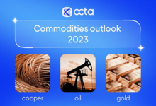 Octa research: commodity performers in 2023