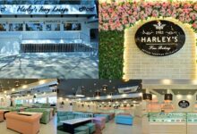 Harley’s Brings Artisan European Delicacies to Bangalore with its – Ivory Lounge!